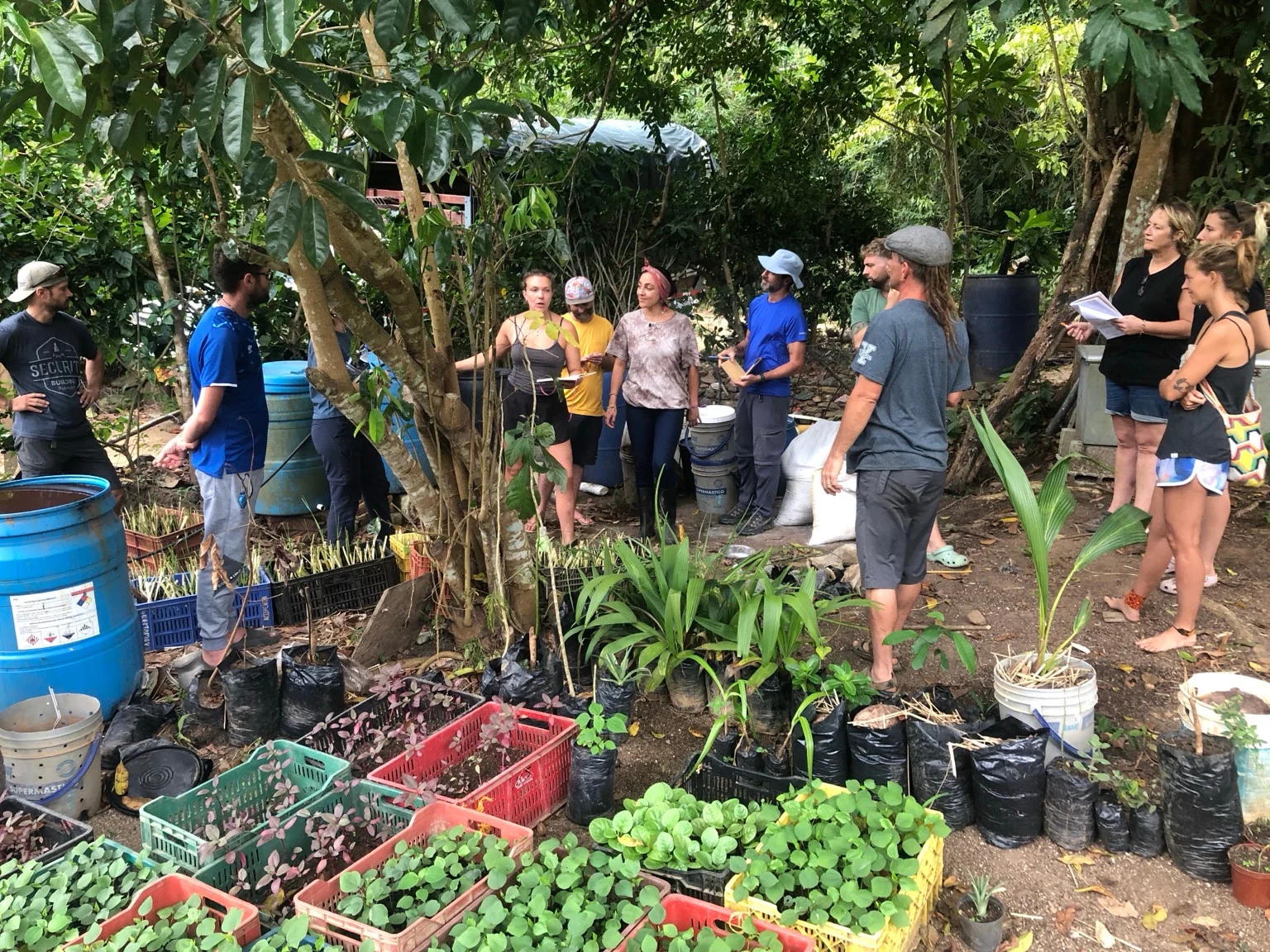 Young plants in nursery trays in the foreground, with a group learning among the trees behind them.